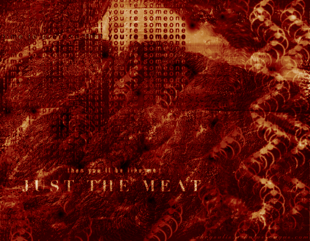 A digital abstract artwork in warm, meat-like colors, mainly white, red, and yellow. The background is of meat, and bones/pieces of the spine are in the foreground. The text reads 'time to pretend to be someone' and 'then you'll be like me / JUST THE MEAT'.